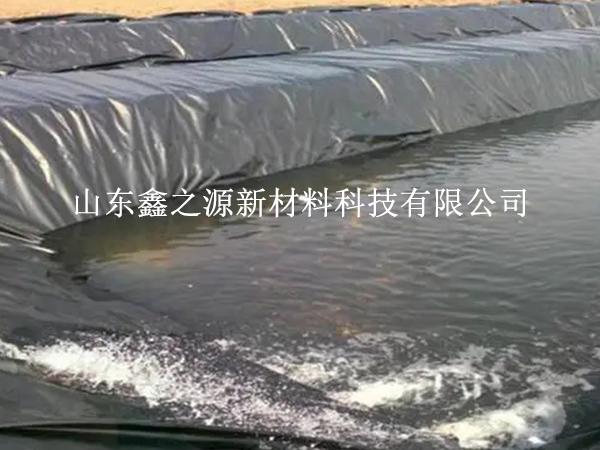 魚塘防滲膜的選擇需要考慮哪些要求？