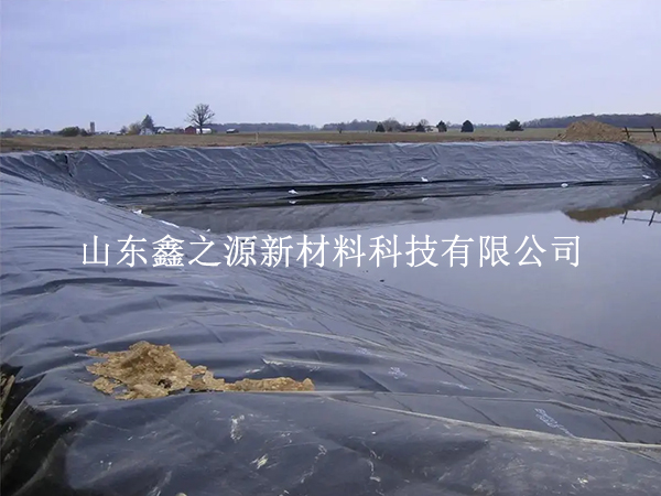 養(yǎng)殖防滲膜施工固定新法：簡約高效，守護(hù)生態(tài)養(yǎng)殖